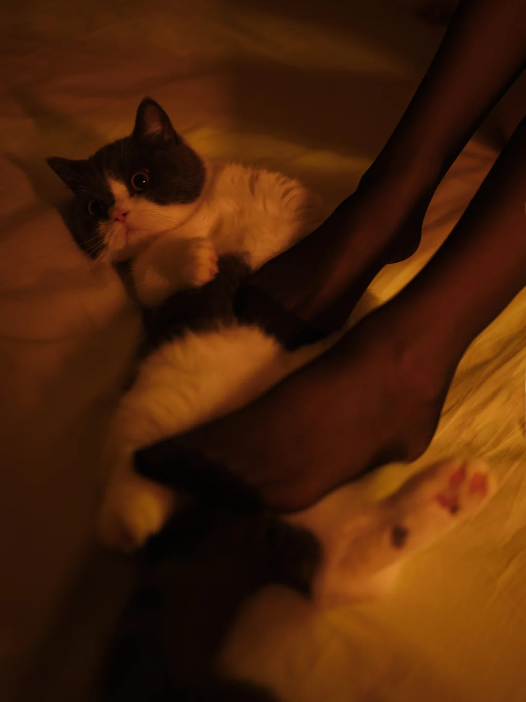 一米八的大梨子 - No.035 复活黑 [27P-132MB] tg@simisebaisi 【丝足阁】003.webp